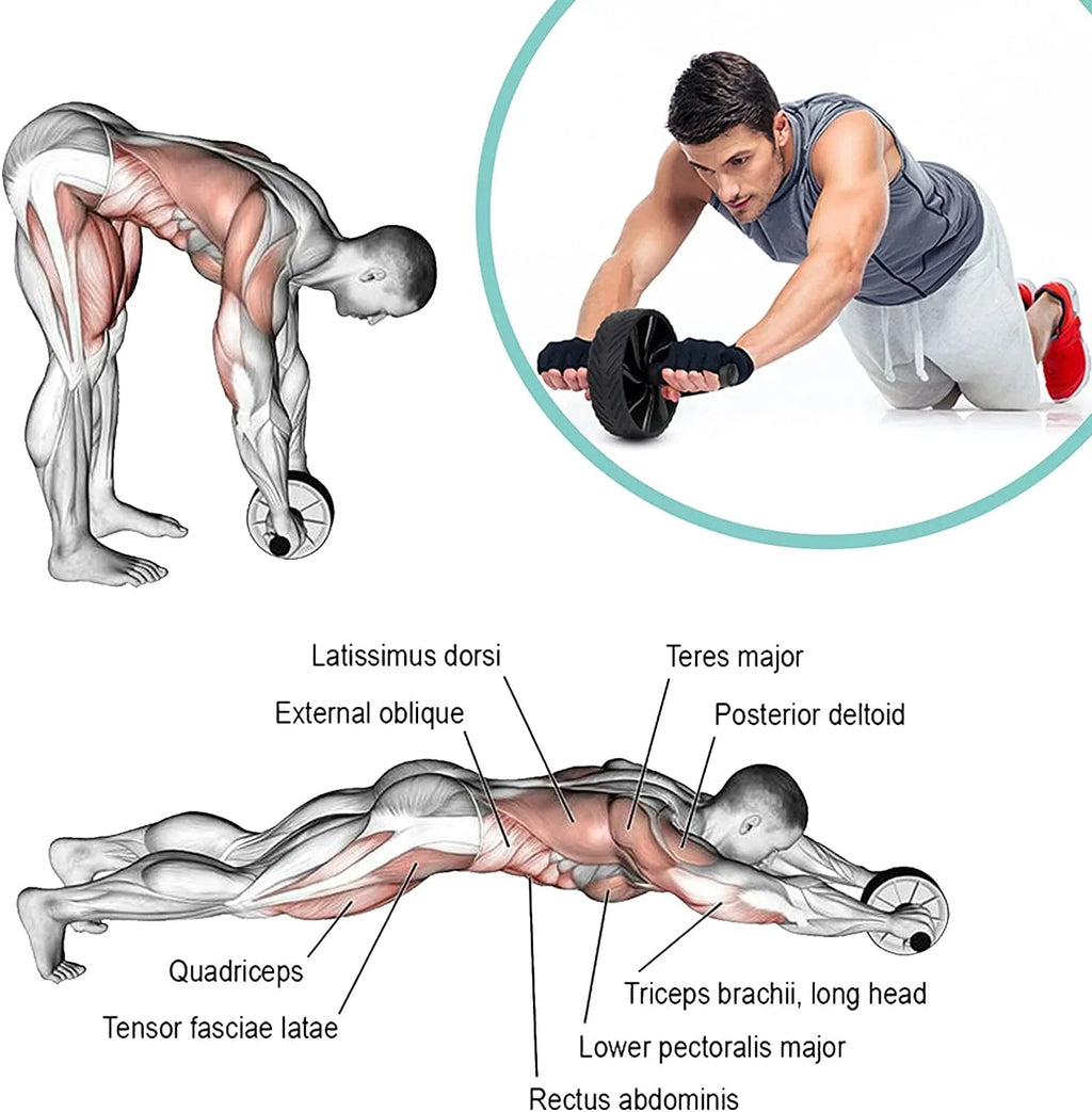 Ab Roller – skuteczny trening mięśni brzucha i całego ciała
